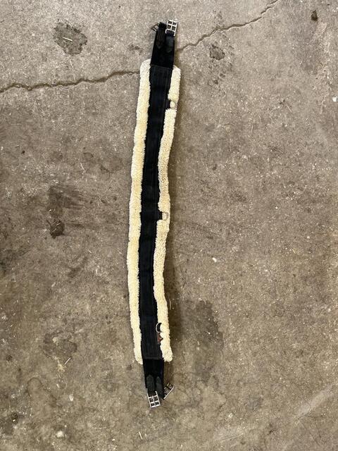 Sangle Kentucky mouton