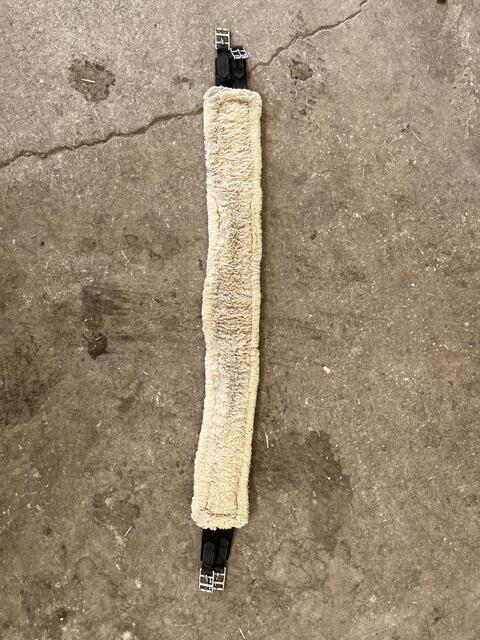Sangle Kentucky mouton
