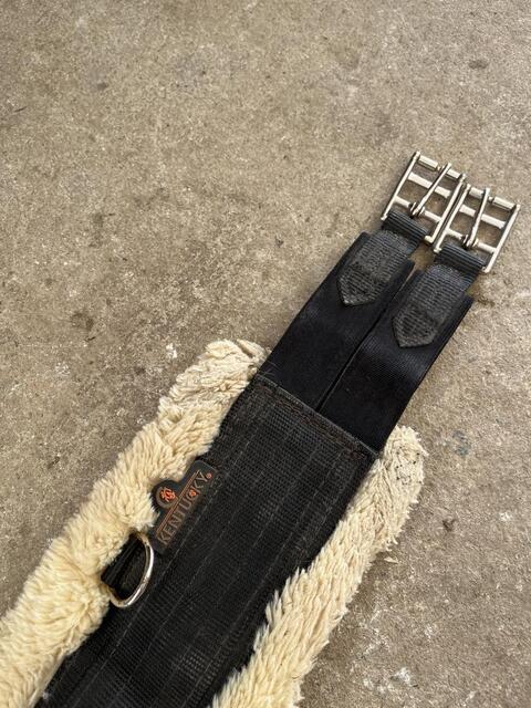 Sangle Kentucky mouton