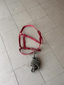 Licol et longe