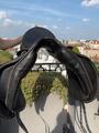 Albion K2 Legend Dressage Noire 17,5 MW