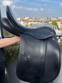 Albion K2 Legend Dressage Noire 17,5 MW