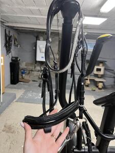 filet noir Time rider cob