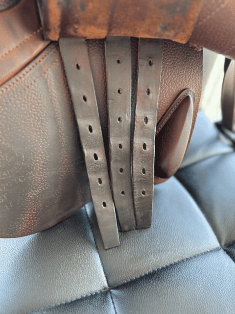 Selle CWD 17 pouce obstacle