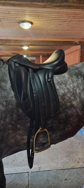 Selle dressage Équipe Wiktoria
