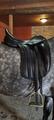 Selle dressage Équipe Wiktoria