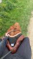 selle Butet 17