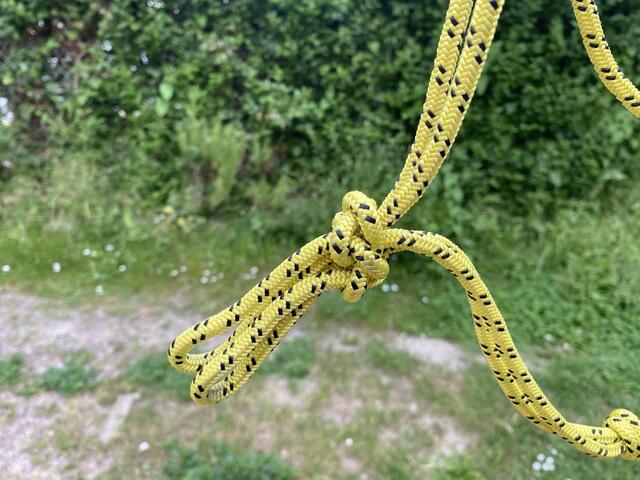 Licol éthologique cob