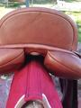 Selle dressage
