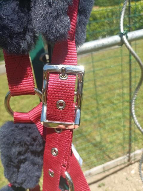 licol rouge