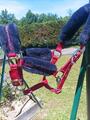 licol rouge