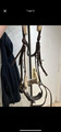 filet taille cheval