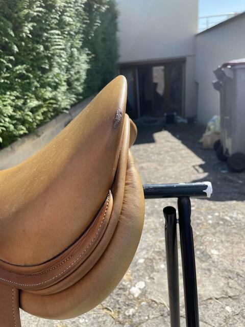 selle GBS