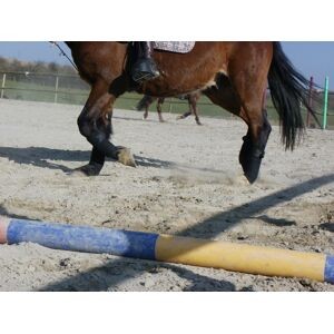 Bande de polo noire jumptec