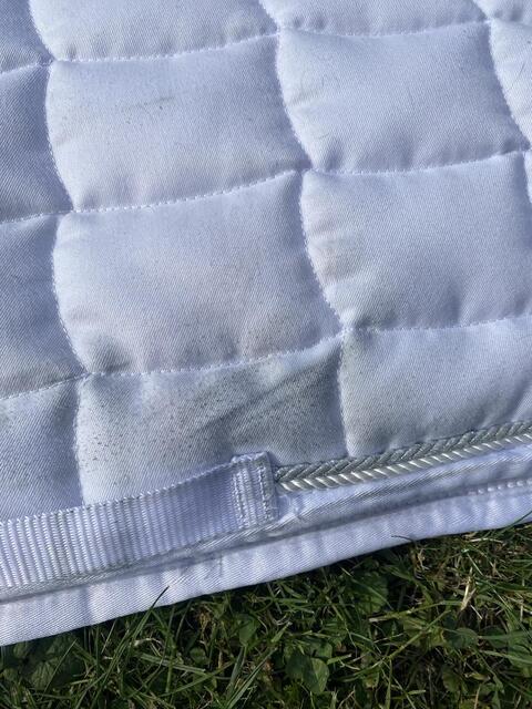 Tapis blanc