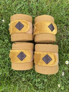 Bandes de polo Kentucky