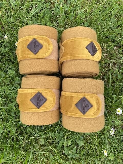 Bandes de polo Kentucky
