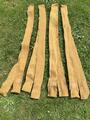Bandes de polo Kentucky