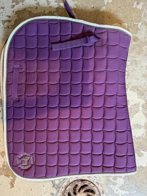 tapis horse