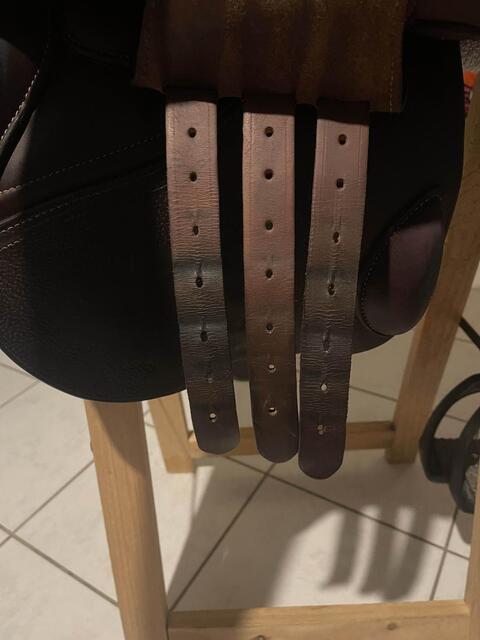 Selle GBS