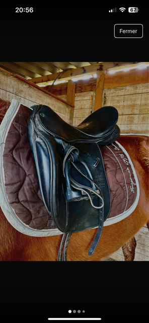Selle dressage Stubben maestoso de luxe