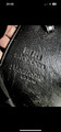 Selle dressage Stubben maestoso de luxe