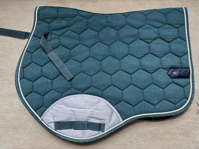 Tapis vert forêt