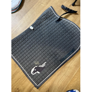 TAPIS performance