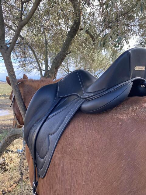 selle de dressage Antares Cadence