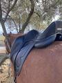selle de dressage Antares Cadence