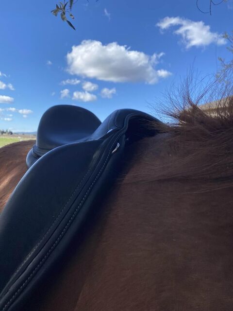 selle de dressage Antares Cadence
