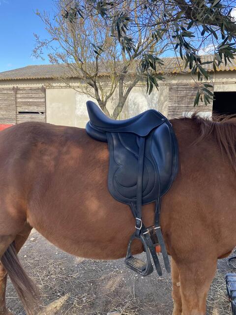 selle de dressage Antares Cadence