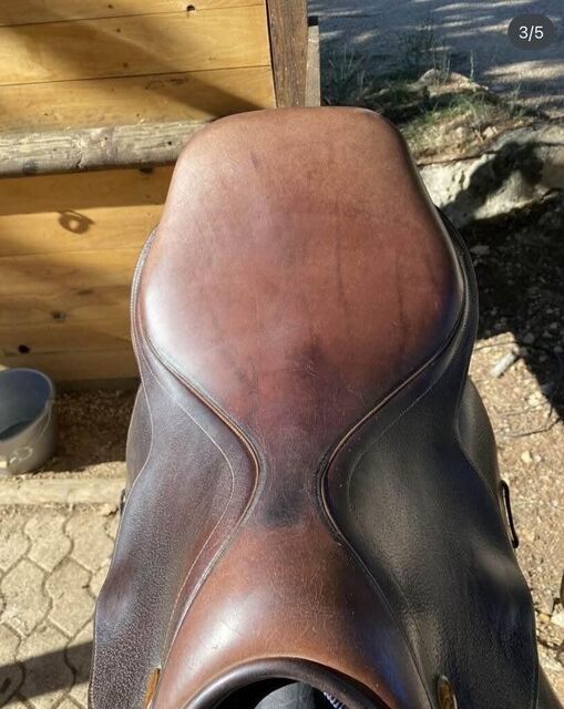 selle 16,5