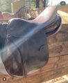 selle 16,5