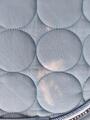 Tapis horze Marquess