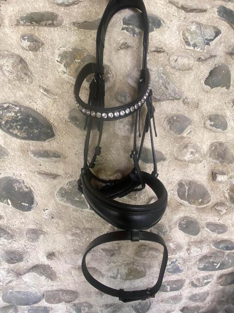 bridon norton pro noir strass + rênes Eric Thomas noires