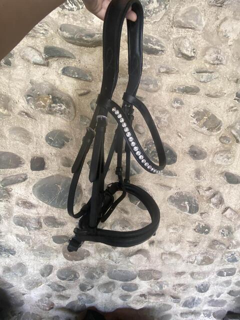 bridon norton pro noir strass + rênes Eric Thomas noires