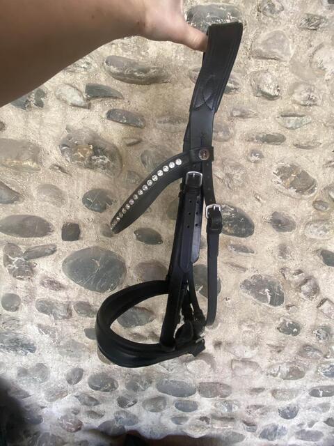 bridon norton pro noir strass + rênes Eric Thomas noires