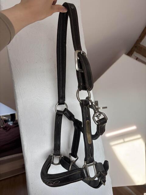 licol en cuir marron