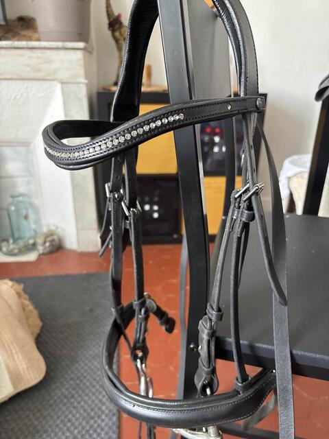 filet fouganza 580 - noseband amovible + rênes