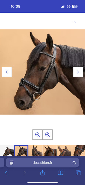filet fouganza 580 - noseband amovible + rênes