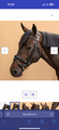 filet fouganza 580 - noseband amovible + rênes