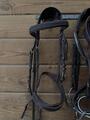 Bridon Canter Black strass