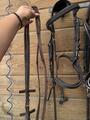Bridon Canter Black strass