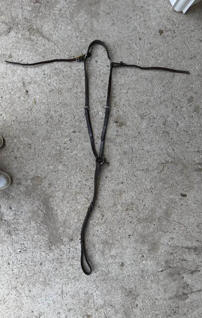 Collier de Chasse