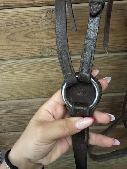 Collier de Chasse