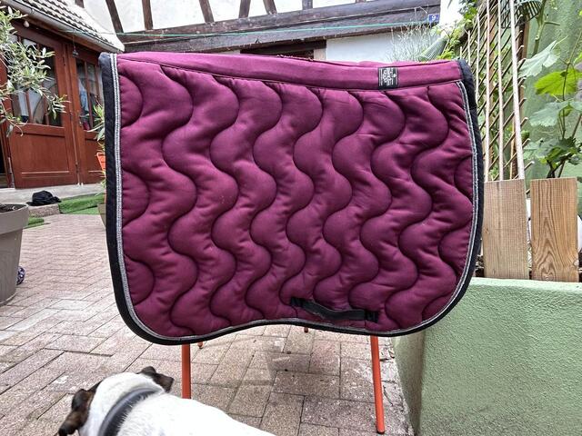 tapis paddock sport violet