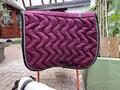 tapis paddock sport violet