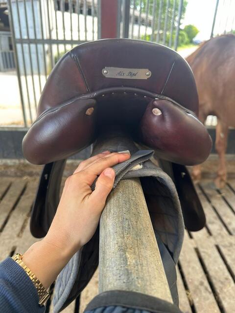 Selle Antares Connexion