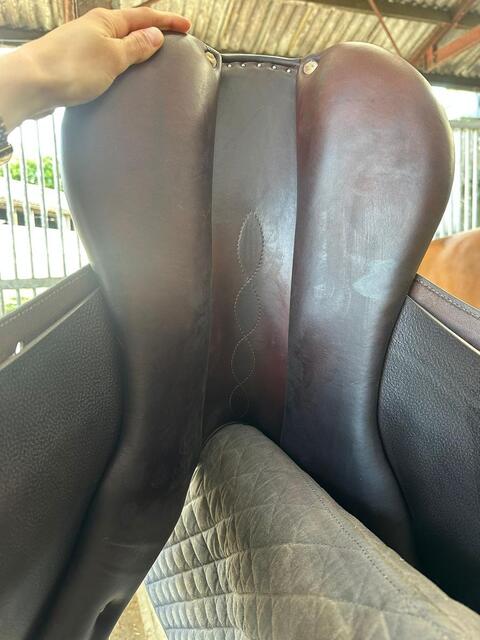 Selle Antares Connexion